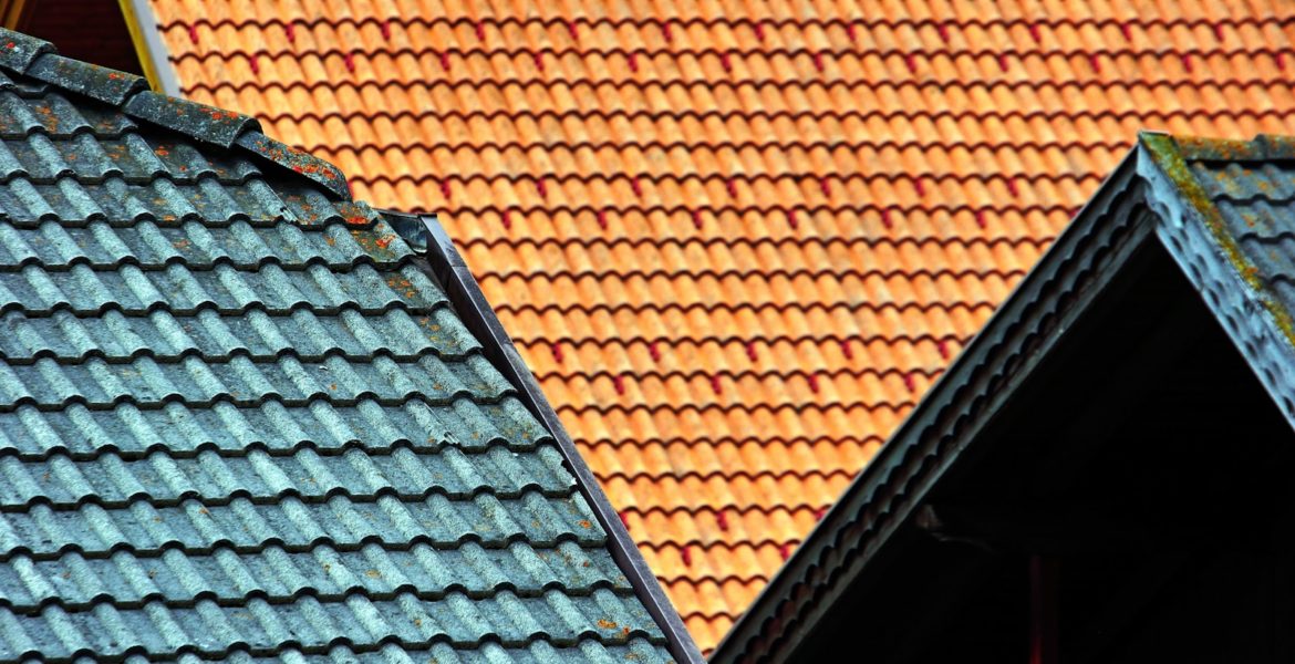 brown and green house roof