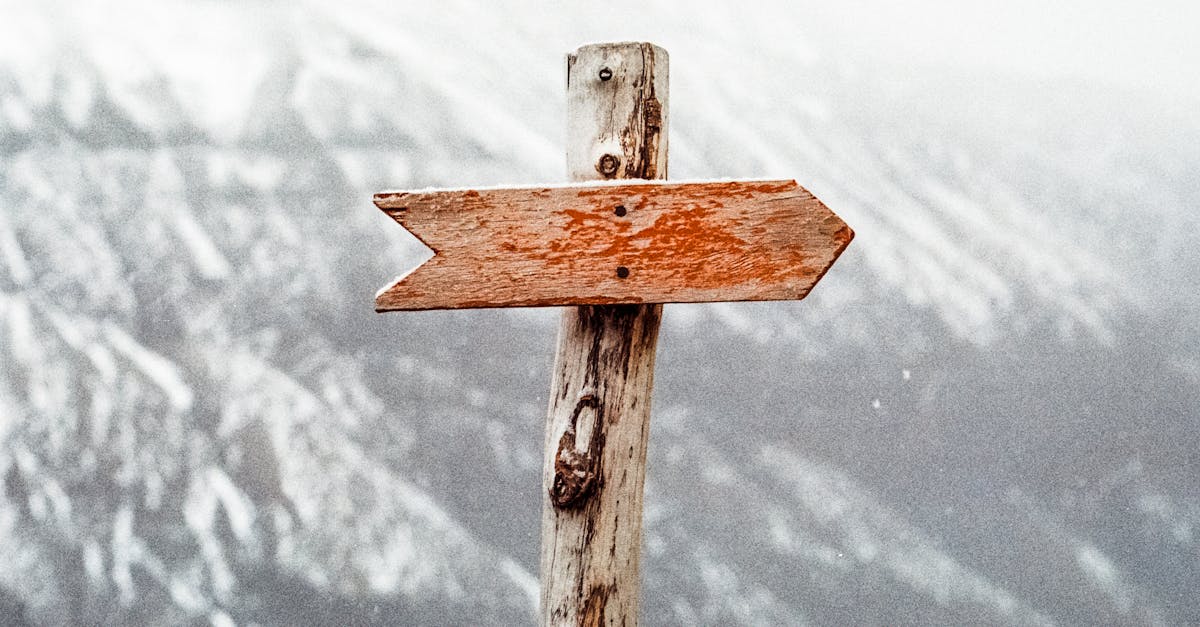 découvrez les stratégies efficaces de génération de leads pour attirer et convertir vos prospects en clients. optimisez votre approche marketing et augmentez vos ventes grâce à des techniques éprouvées.