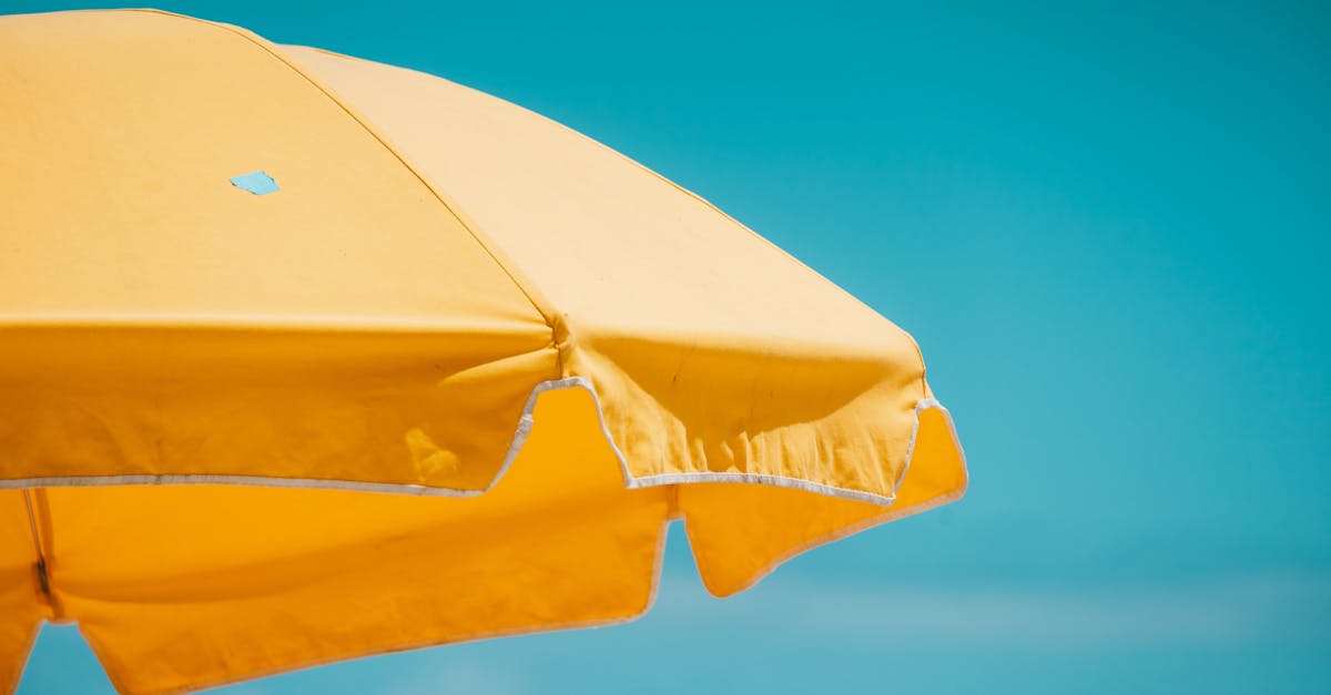 protégez votre peau des effets nocifs du soleil grâce à des conseils et produits de protection solaire efficaces. découvrez comment choisir et appliquer la meilleure protection solaire adaptée à vos besoins.