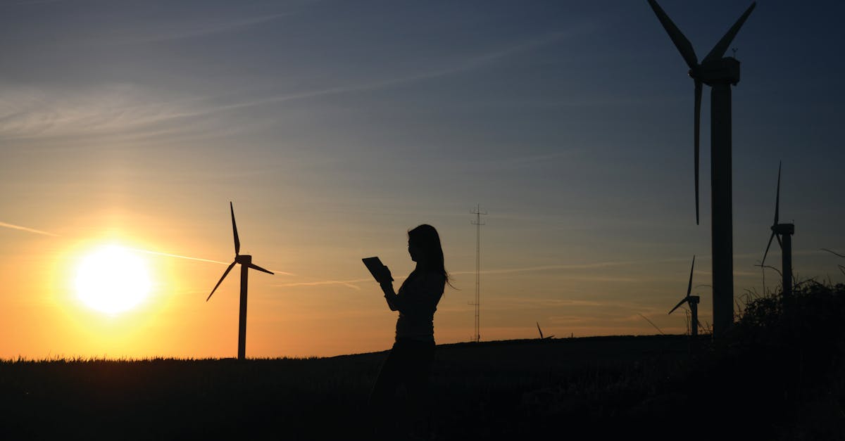 découvrez comment la durabilité transforme notre avenir avec des solutions innovantes et responsables pour préserver l’environnement, assurer le bien-être social et soutenir une économie durable.