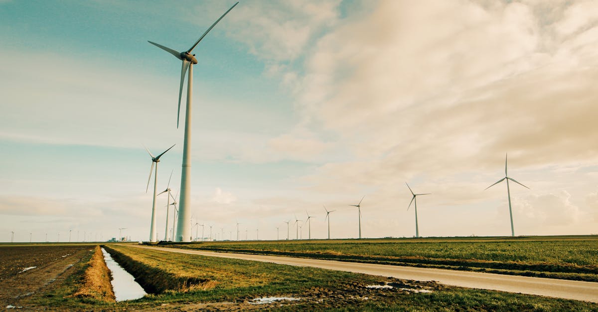 découvrez comment adopter des pratiques durables pour préserver l’environnement, améliorer votre qualité de vie et participer à la transition écologique. conseils, actualités et solutions pour une démarche responsable au quotidien.