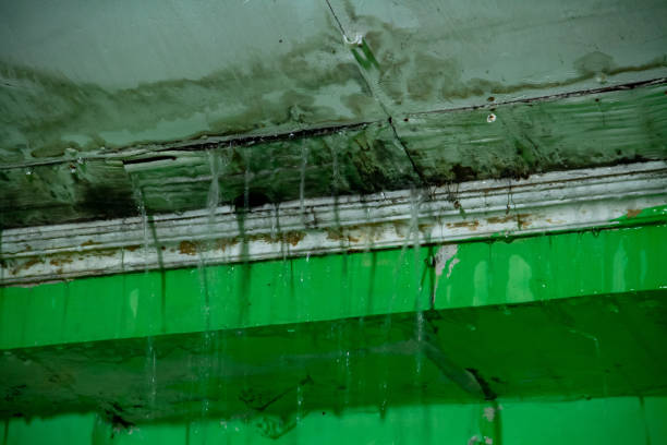 recherche de fuite à Bron