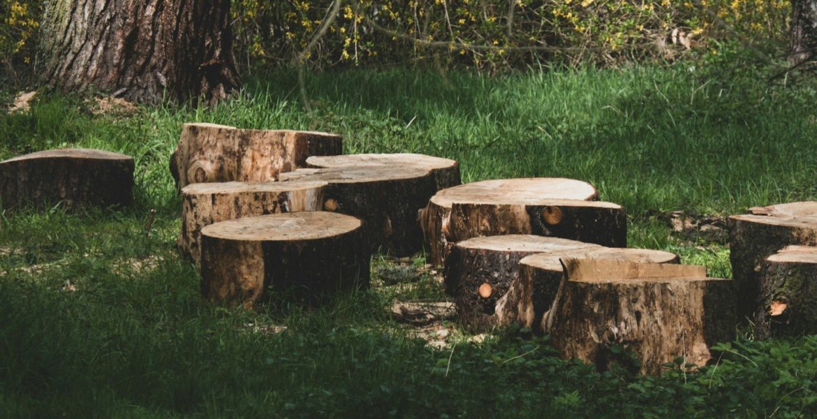 brown wooden log on green grass field